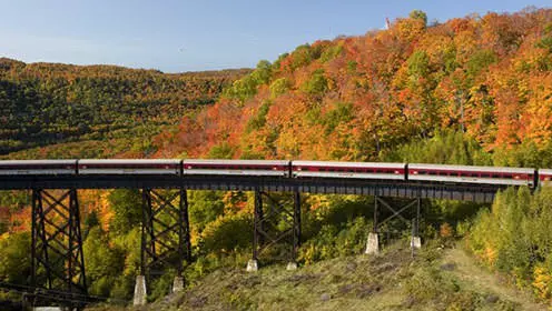 Le train du canyon Agawa traverse un pont dans la forêt où les feuilles changent de couleur