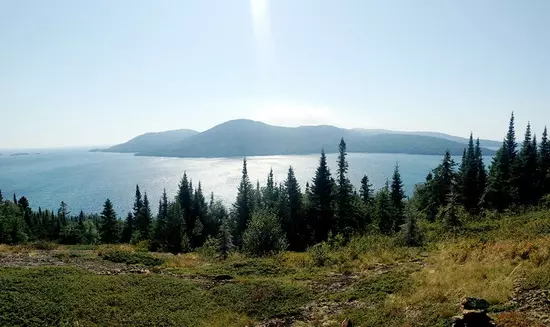 Une prairie et une forêt menant à un lac calme avec des îles vallonnées en arrière-plan.